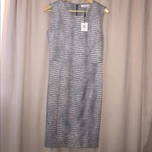 Calvin Klein Dress